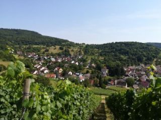 Ferienwohnung Ebringen Apartment Schneeburg immagine 2