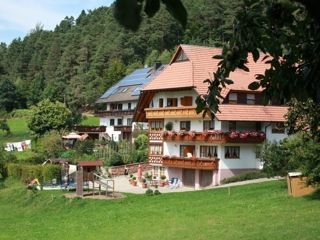 Bauernhof Elzach Schlosshof - der Urlaubsbauernhof immagine 1
