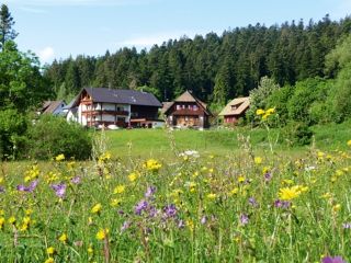 Ferienwohnung Freudenstadt Landhaus Anja immagine 1