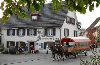 Ferienwohnung Kandern Ferienwohnung im Pflug immagine 2