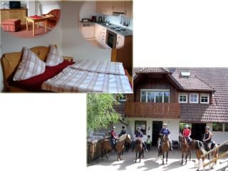Bauernhof Oberwolfach Reiter- und Ferienhof Landeckhof immagine 2